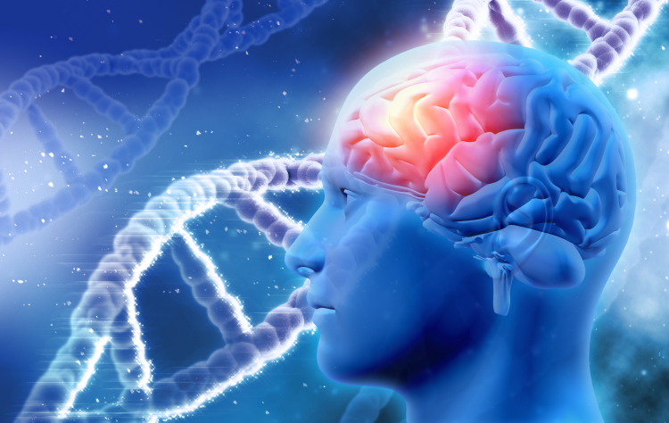 Traumatic Brain Injury